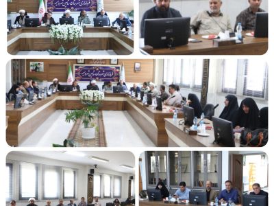 📌برگزاری سومین نشست شورای فرهنگ عمومی شاهین شهر در سال جاری